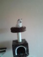 /album/gucci-v-novem-domove/guci-prvni-minuty-v-novem-domove-jpg/